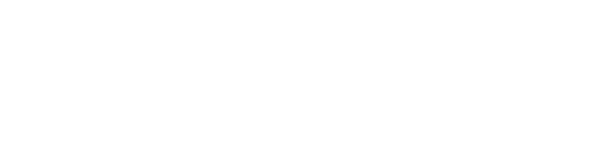 Partner agency