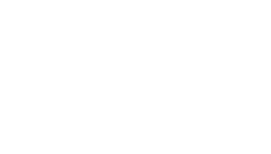 Partner agency
